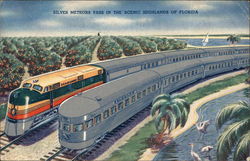 Silver Meteors Pass in the Scenic Highlands of Florida Trains, Railroad Postcard Postcard