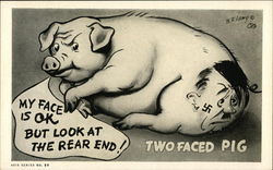 My Face is OK But Look at the Read End! Two Faced Pig Postcard