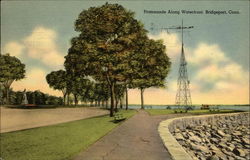 Promenade Along Waterfront Postcard