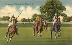 Polo on One of Aiken's Fields South Carolina Postcard Postcard