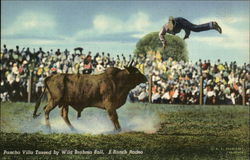 Pancho Villa Tossed by Wild Brahma Bull, E. Ranch Rodeo Postcard