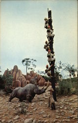 Trapped Safari Disney Postcard Postcard