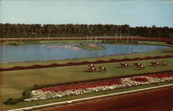 Parading to the Post on the Turf at Beautiful Hialeah Race Course Postcard