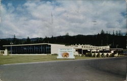 Tillamook County Creamery Association Postcard