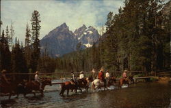 Horseback Riding in Grand Teton National Park, Wyoming Postcard Postcard