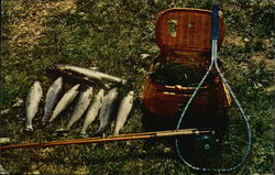 Eight Fish, Fishing Pole, Fishing Net and Creel Postcard Postcard