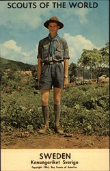 Scouts of the World: Sweden (Konungariket Sverige) Boy Scouts Postcard Postcard