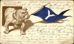 Yale Handsome Dan - Bulldog Holding Flag Postcard