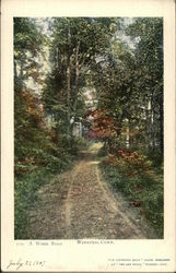 A Wood Road Postcard