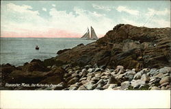 Old Mother Ann, Cape Ann Postcard