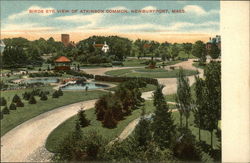 Atkinson Common Postcard