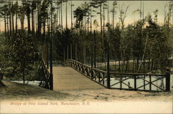 Bridge at Pine Island Park Postcard