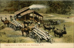 Logging Scene at Goff's Falls Postcard