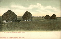 The Marshes Hampton Beach, NH Postcard Postcard