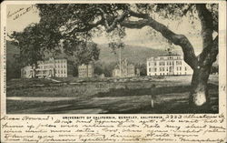 University of California Postcard