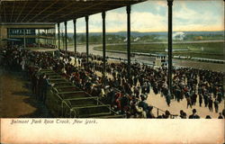 Belmont Park Race Track Postcard