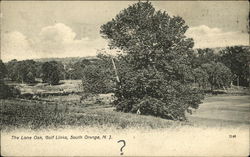 The Lone Oak, Golf Links Postcard