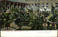 Palm Garden, Park Avenue Hotel Postcard