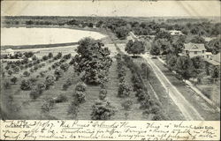 Birds' eye view of Orlando Postcard