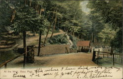 At the Well, Ross Park Binghamton, NY Postcard Postcard