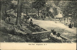 Ross Park Binghamton, NY Postcard Postcard