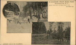 A Souvenir from Ross Park Binghamton, NY Postcard Postcard