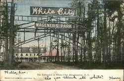 The Entrance to White City Binghamton, NY Postcard Postcard