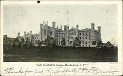 State Hospital for Insane Binghamton, NY Postcard Postcard