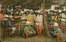 Cock-Pit Philippines Southeast Asia Postcard Postcard