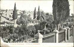 Jardin de Gethsémane - Garden of Gethsemane Jerusalem, Israel Middle East Postcard Postcard