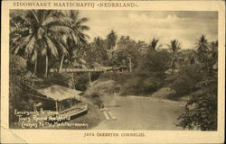 Steamship Company "Netherlands" Meester Cornelis (Jatinegara), JAVA (JAKARTA) Dutch West Indies (Indonesia) Caribbean Islands Po Postcard