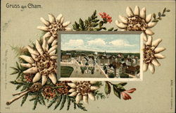 Gruss aus Cham Postcard