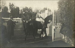 Jockey on the horse Postcard