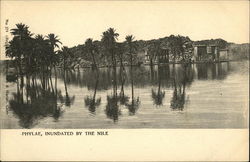 Phylae, Inundated By The Nile Postcard