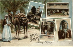 Greetings from Algeria Postcard