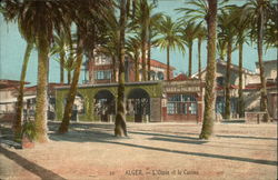 The Oasis and Casino Postcard