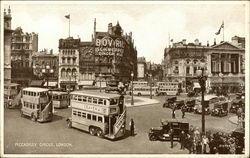 Piccadilly Circus Postcard