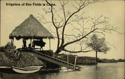 Irrigation of Rice Fields Postcard