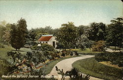 Botanic Station Basseterre, St. Kitts Caribbean Islands Postcard Postcard