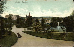 View of Town Postcard