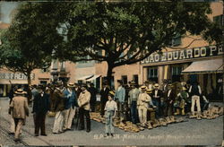 Funchal Boot Market Postcard