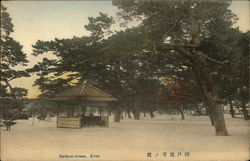 Maikonohama Postcard