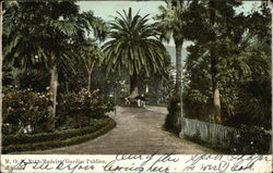 Madeira Gardim Publico Portugal Postcard Postcard