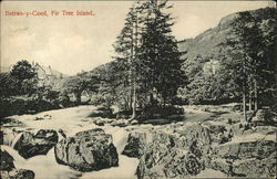 Fir Tree Island Bettws-y-Coed, Wales Postcard Postcard