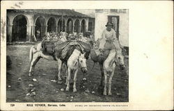 Milk vender, Havana, Cuba Postcard Postcard