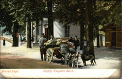 Street Vendors with Dog Cart The Hague, Netherlands Benelux Countries Postcard Postcard