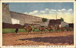 The Camel train and The Peping wall China Postcard Postcard