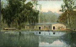 Old River Mill Along the Passaic River Postcard