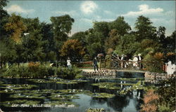 Lily Pond, Belle Isle Detroit, MI Postcard Postcard