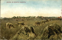 Scene in North Dakota Postcard Postcard